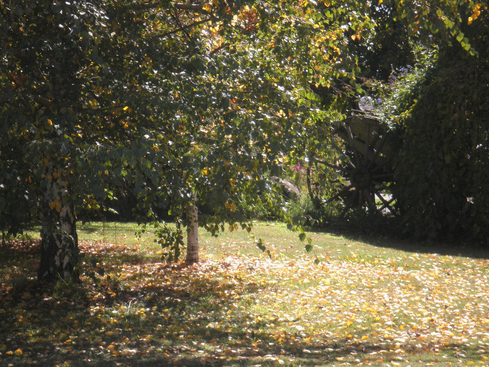 Melview Greens Orange Buitenkant foto